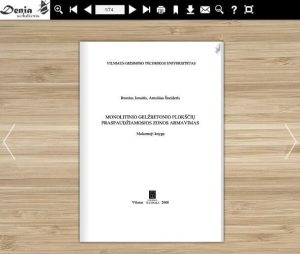 Denia Solutions Monolitino gelzbetonio ploksciu praspaudziamosios zonos armavimas Halfen Mokomoji knyga